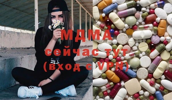 гидра Гусь-Хрустальный