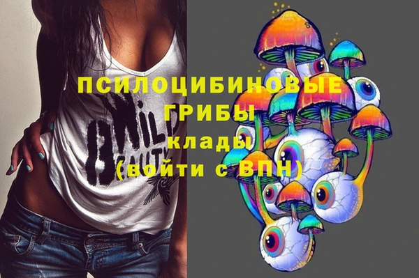стаф Гусев