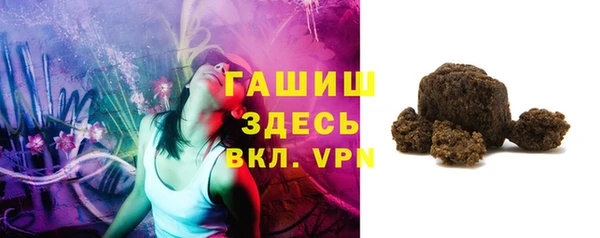 стаф Гусев