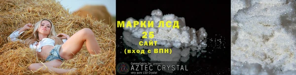 стаф Гусев