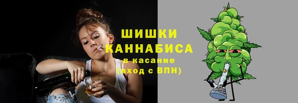 гидра Гусь-Хрустальный
