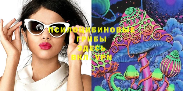стаф Гусев