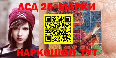 прущие грибы Гатчина