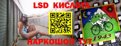 прущие грибы Гатчина