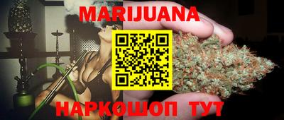 прущие грибы Гатчина