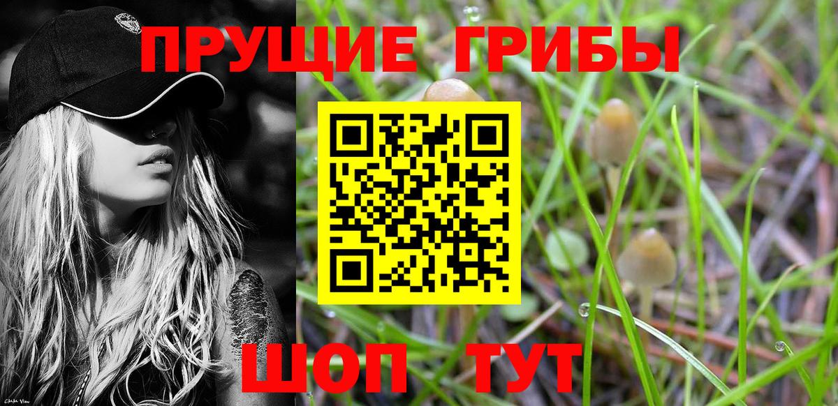 Донской  Галлюциногенные грибы мицелий  Галлюциногенные грибы GOLDEN TEACHER  Вход с VPN 